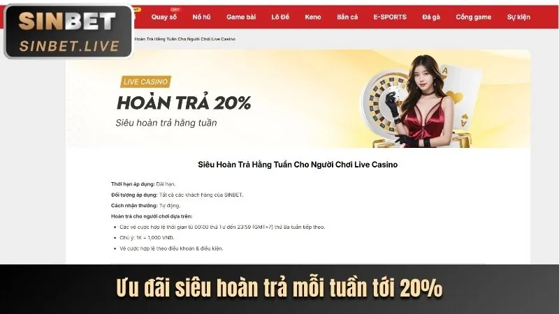 Hoàn trả casino và thể thao hy88